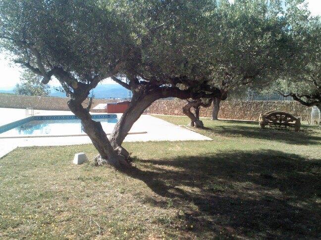 L'Ermita Casa Ripo Hotel Vall dʼAlba Eksteriør billede